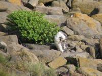 Albums/20060200-New Zealand 2006/20060313-Catlins/35